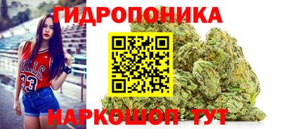 гашик Кунгур
