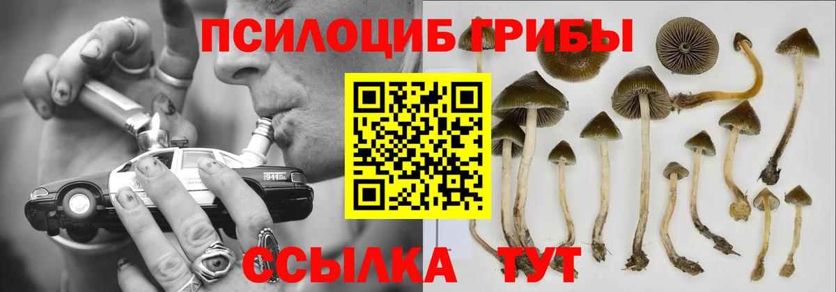 Благовещенск  Галлюциногенные грибы MAGIC MUSHROOMS  Вход с VPN  как найти наркотики  Галлюциногенные грибы мицелий 